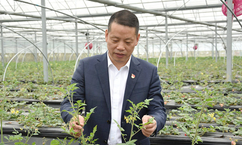 傅平均：一犁耕到頭