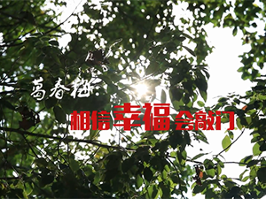 相信幸福會敲門-臨泉縣委組織部