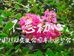 不忘初心—典型事跡片—阜陽市直工委