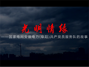 光明情緣—典型事跡片—阜陽市直工委