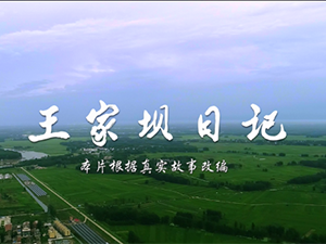 王家壩日記-微電影-阜南縣委組織部