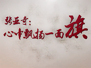 張亞奇：心中飄揚一面旗  典型事跡片  阜陽市委組織部