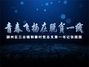 青春飛揚在脫貧一線—典型事跡片—潁州區(qū)委組織部