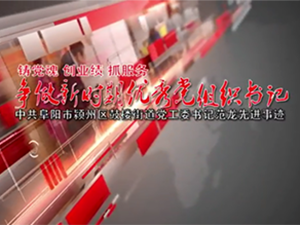 鑄黨魂、創(chuàng)業(yè)績、抓服務—典型事跡片—潁州區(qū)委組織部