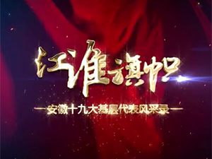 十九大代表風采—高思杰